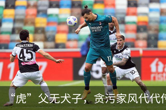 “虎”父无犬子，贪污家风代代传