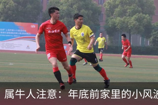 属牛人注意：年底前家里的小风波，其实是亲家关系升温的好兆头