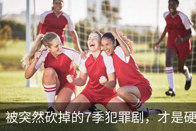 被突然砍掉的7季犯罪剧，才是硬汉剧该有的样子